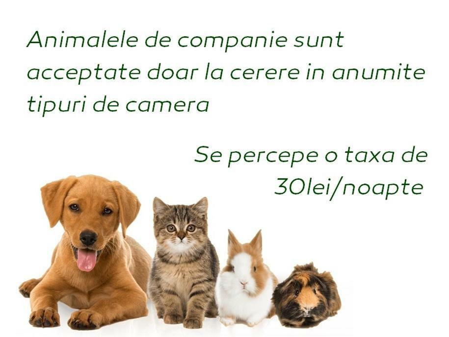 Vila Privilege Felix Băile Felix Dış mekan fotoğraf